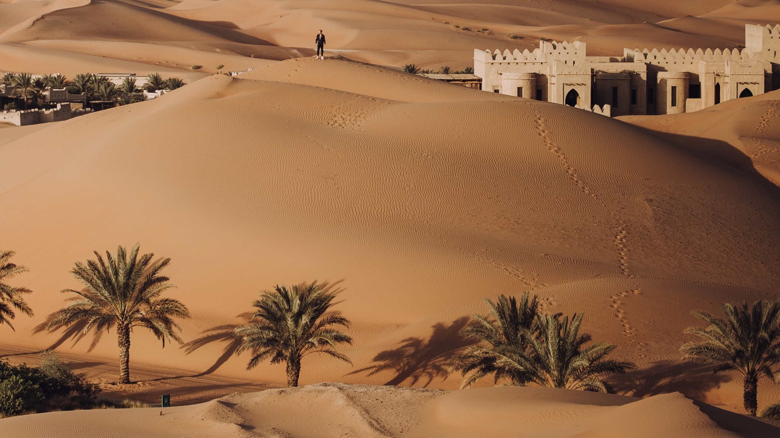 Desert Safari Tour