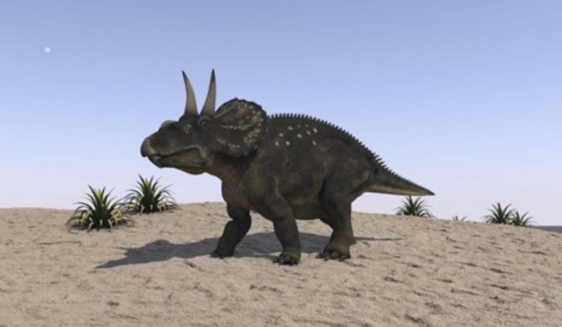 Tyceratops