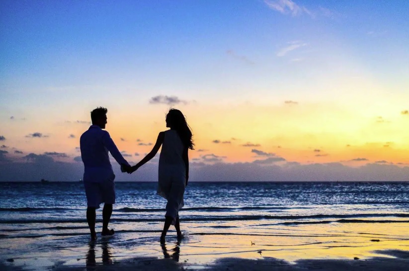 Life Partner