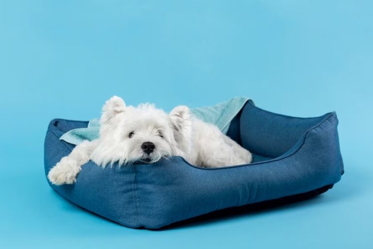 Bolster Dog Beds