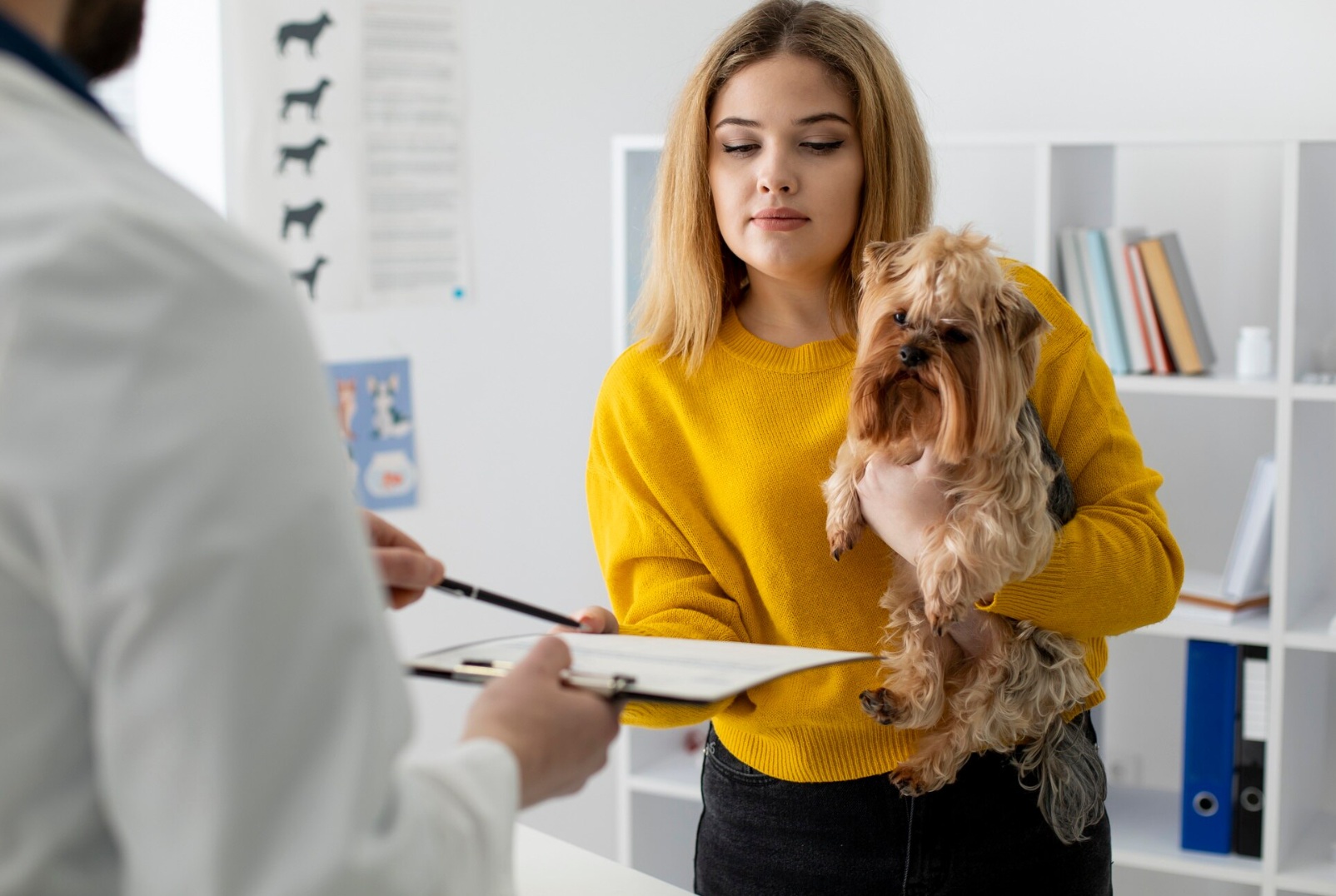 6 Tips For Preparing For Your Pet’s Veterinary Appointment