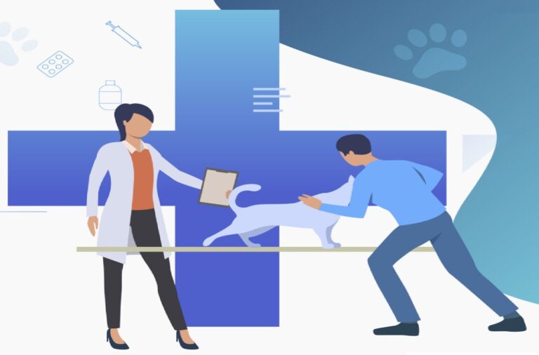 Accredited Veterinary Hospitals