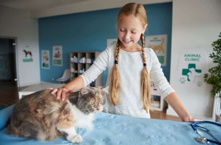 Animal Clinics