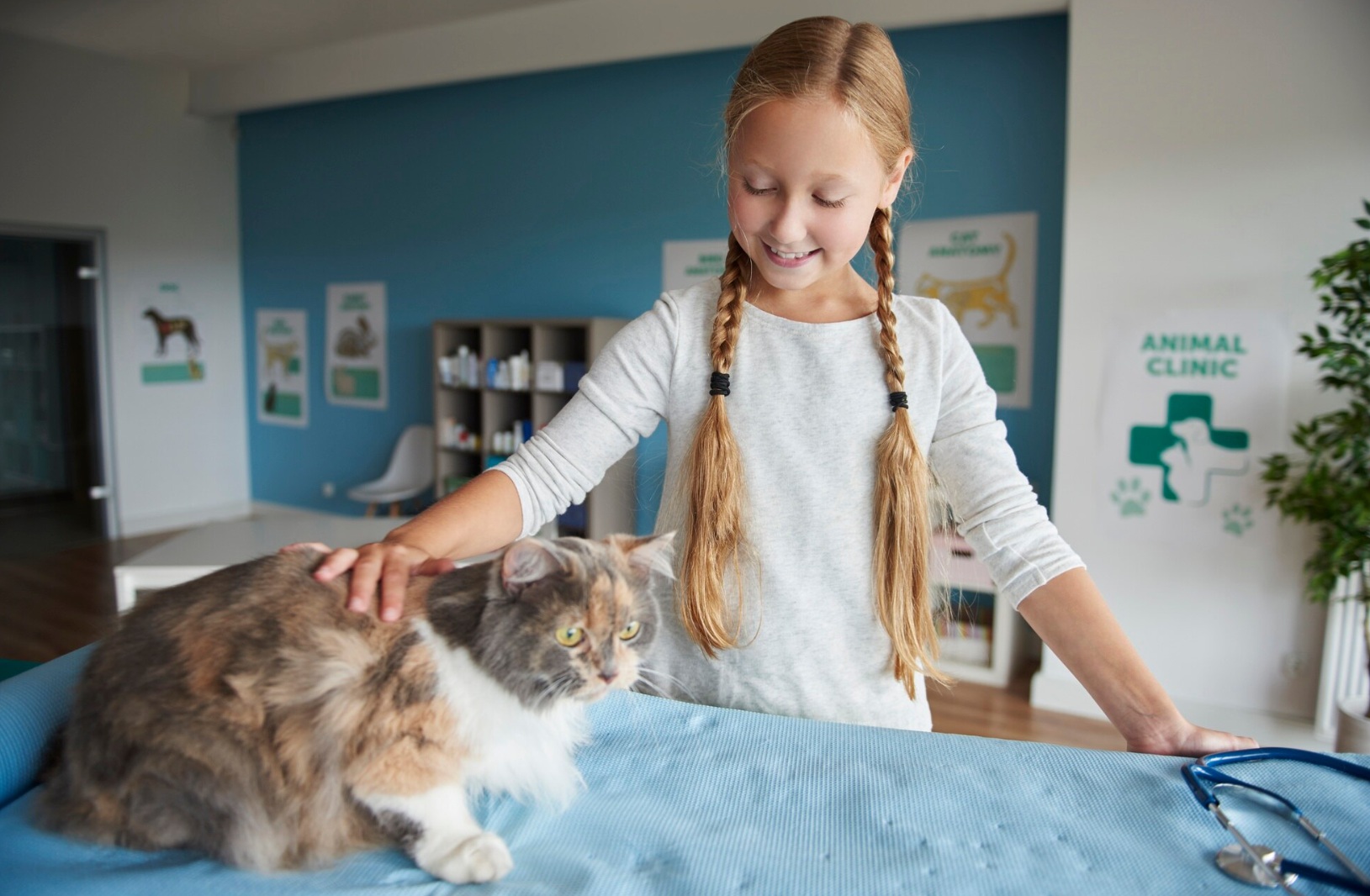 Animal Clinics