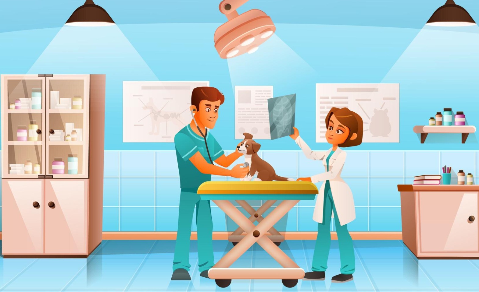 House Laboratories In Animal Hospitals