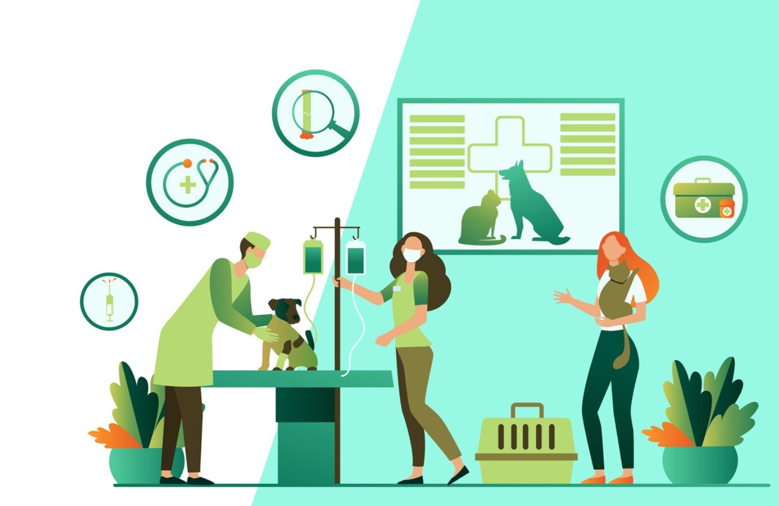 Small Animal Hospitals
